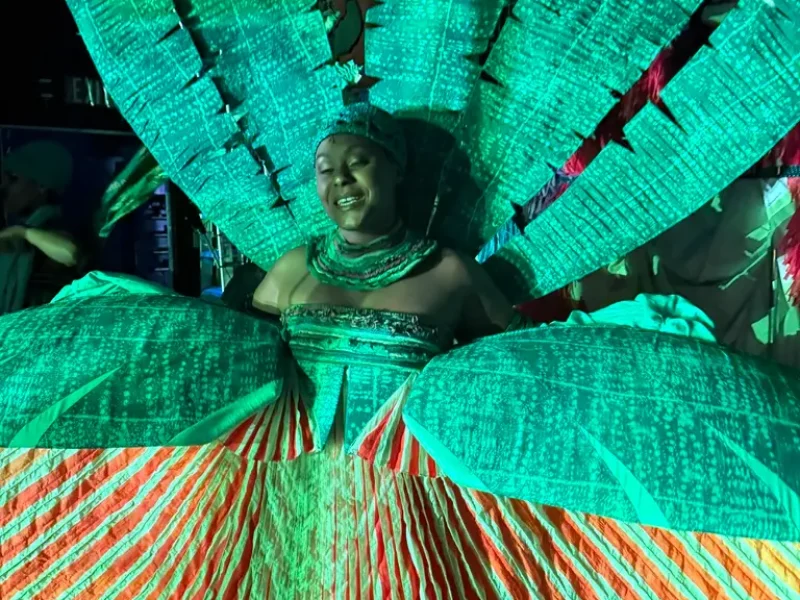 vocalfy-lionking (3)